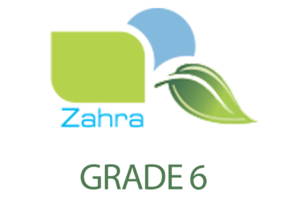 Grade 6