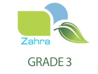 Grade 3
